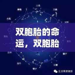 双胞胎命运揭秘,星座运势与双生花的奇幻之旅