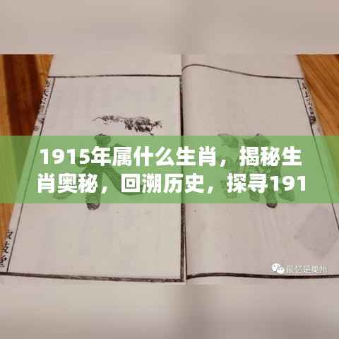 测试 第158页