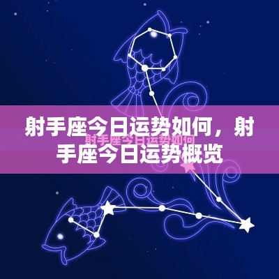 射手座今日运势概览分析