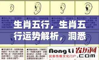 瞻云就日 第5页