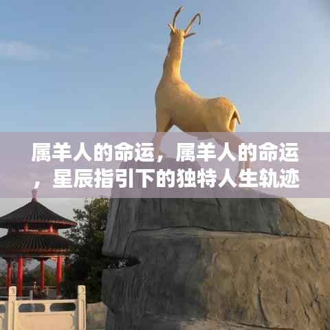 自作主张 第5页