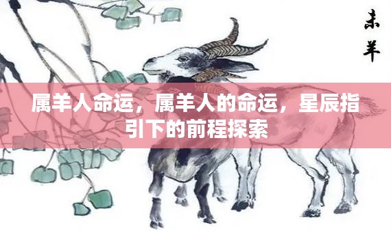 逆风飞扬 第4页