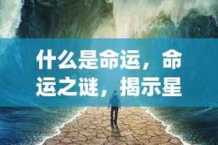 命运之谜，星座与人生交织之路的揭示