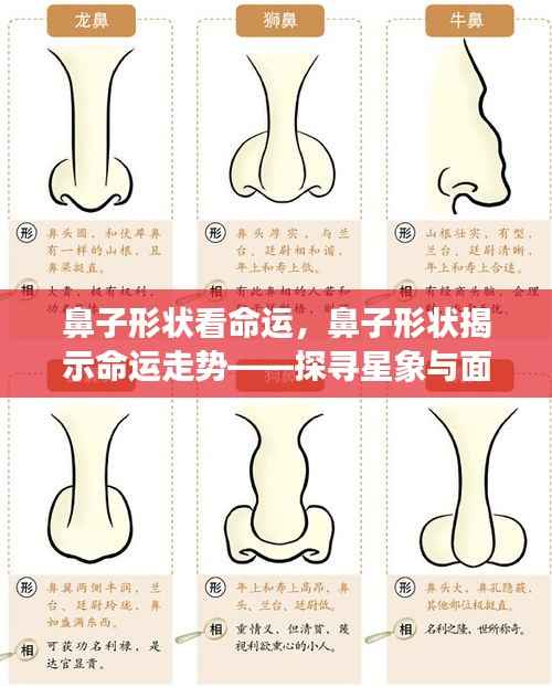 虚张声势 第5页