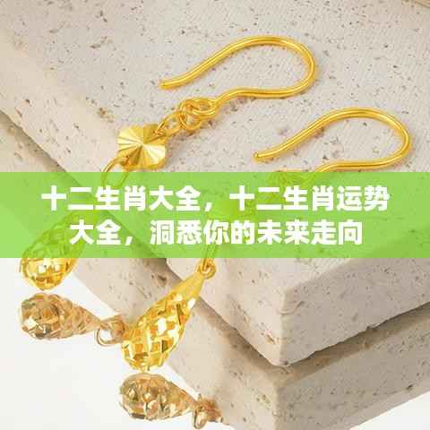 洞悉未来运势，十二生肖运势详解与未来走向分析