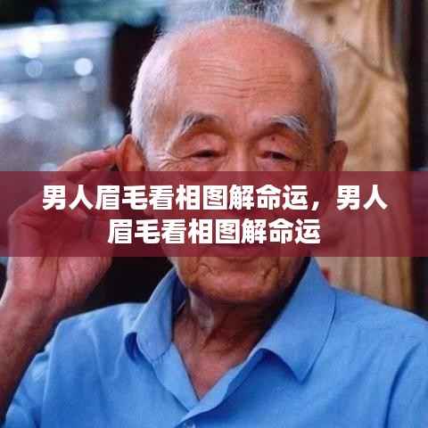 男人眉毛看相图解,解读眉型与命运关联
