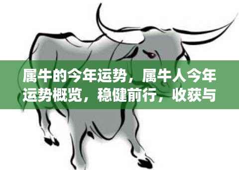 生离死别 第5页