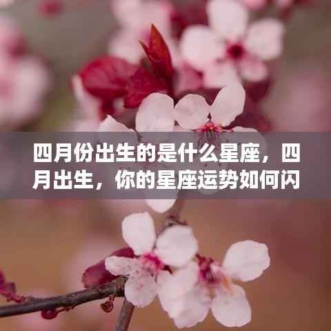 四月出生星座运势揭秘,你的星座运势如何闪耀?