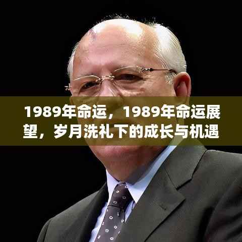 因陋就简 第5页