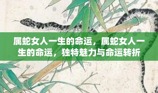属蛇女性的命运轨迹,独特魅力与人生转折的挑战