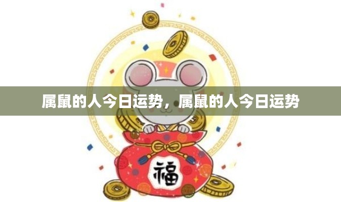 属鼠人今日运势详解