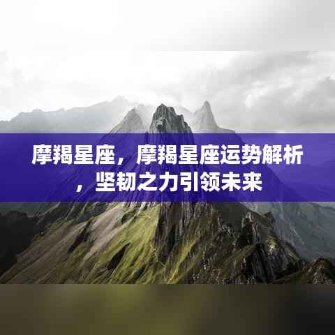 摩羯星座运势解析,坚韧之力塑造未来