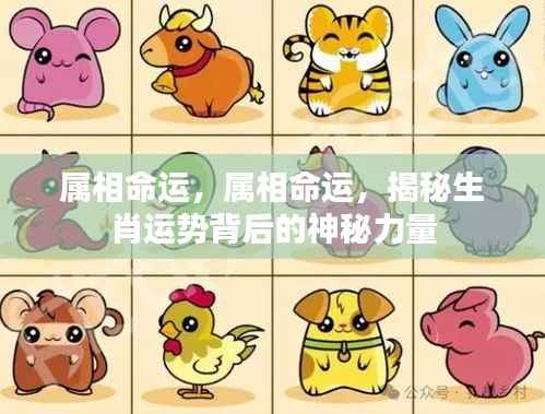 揭秘生肖运势背后的神秘力量,属相命运深度解析