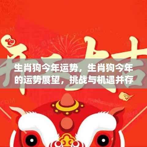 生肖狗今年运势展望，挑战与机遇并存，运势大解析