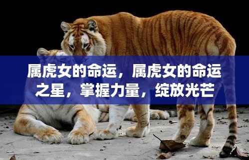 坐井观天 第5页