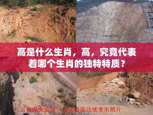 生肖与高，哪个生肖特质与高字相符？