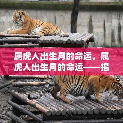 既往不咎 第4页