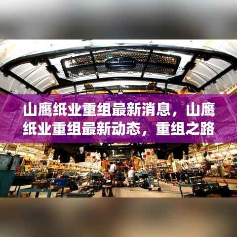 山鹰纸业重组进展及未来展望，最新动态与未来展望