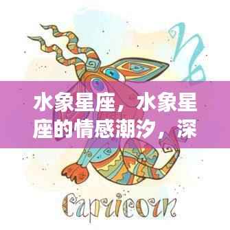 容光焕发 第4页