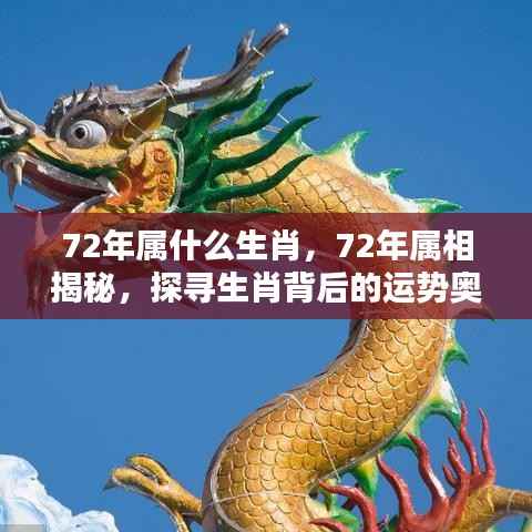 探寻生肖奥秘，揭秘属相运势与生肖背后的故事（针对生肖属相为鼠的年份）