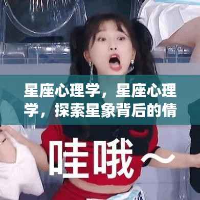 星座心理学,探索星象背后的情感奥秘之谜