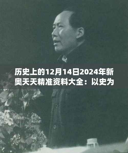 历史上的12月14日2024年新奥天天精准资料大全:以史为鉴,聚焦新奥领域的重大事件