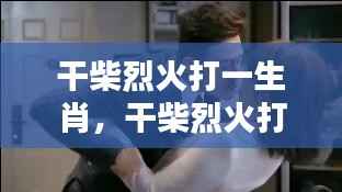 揭秘生肖运势中的激情与机遇，干柴烈火背后的生肖之谜。