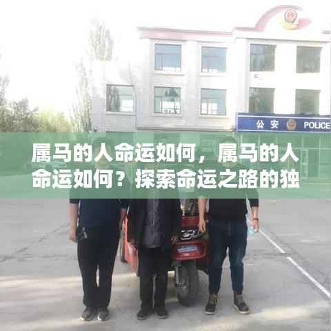 属马人的命运探索,独特轨迹与人生展望