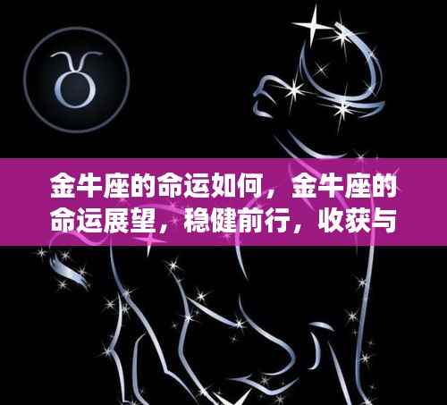 声如洪钟 第4页