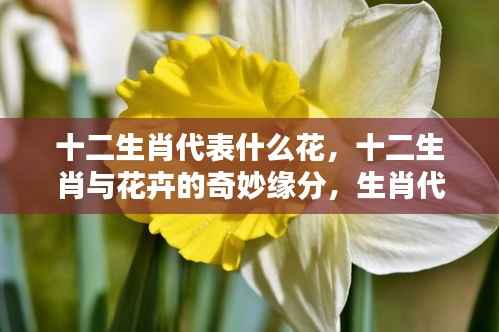 凌空飞起 第4页