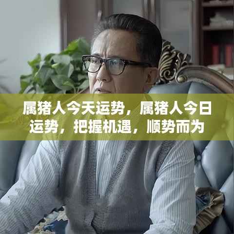 属猪人今日运势,把握机遇,顺势而为的幸运指南