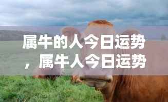 草创未就 第4页