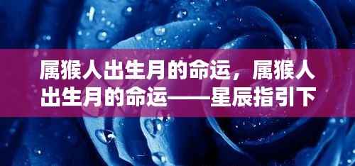 精雕细刻 第4页