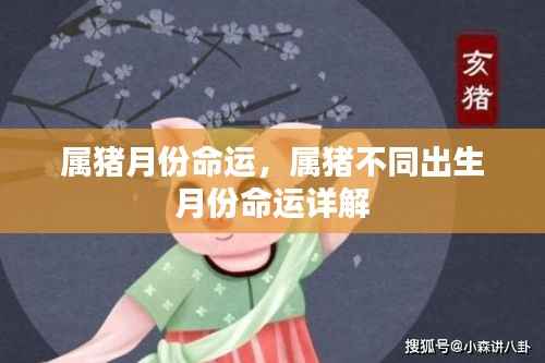 侃侃而谈 第3页