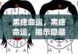 巧舌如簧 第3页