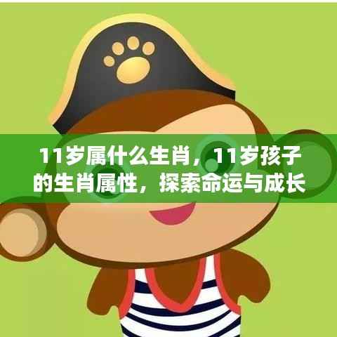 揭秘11岁生肖属性,探索命运与成长之路