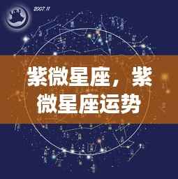 紫微星座运势解析揭秘,星象背后的秘密探索