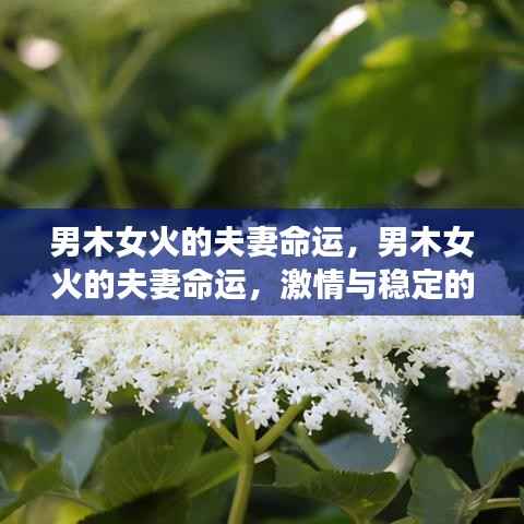 无独有偶 第4页