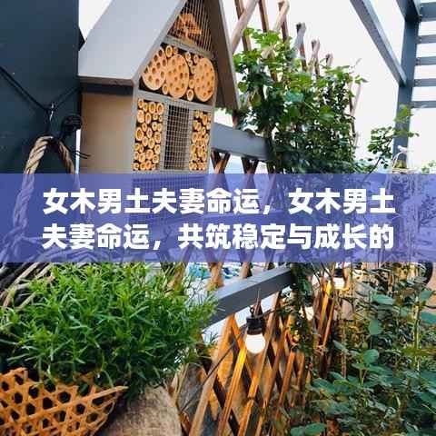 富贵骄人 第4页