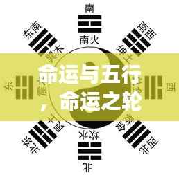 五行与星座运势，命运之轮如何被五行影响？