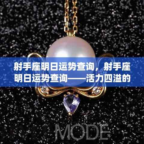 虚张声势 第4页