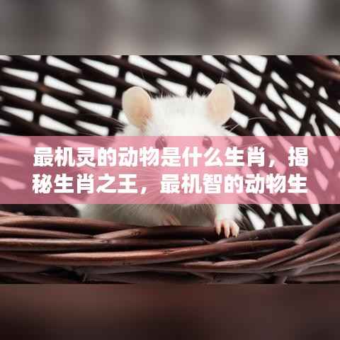 间不容发 第4页