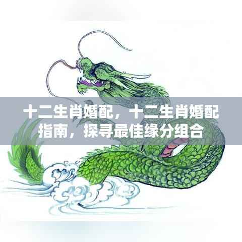 十二生肖婚配指南，探寻最佳缘分组合
