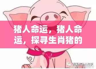 生肖猪的吉祥运势探寻，猪人的命运展望