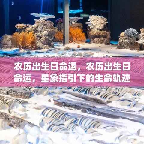 悬驼就石 第3页