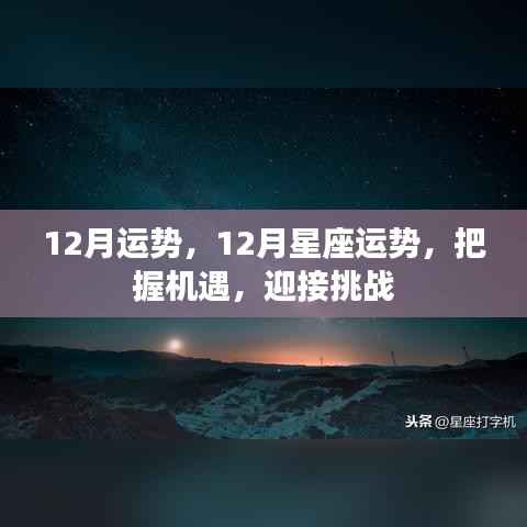 把握机遇，迎接挑战，揭秘十二月星座运势详解
