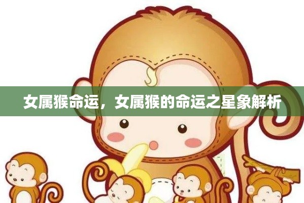 女属猴命运解析，星象下的命运轨迹