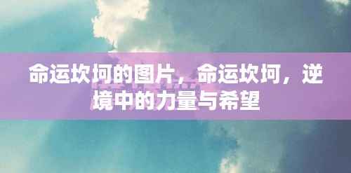 束装就道 第3页