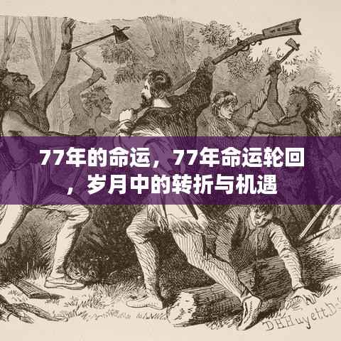 岁月轮回下的转折与机遇，探寻命运中的77年之谜