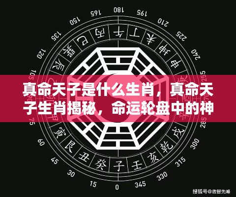 真命天子生肖大揭秘,命运轮盘中的神秘契合之旅